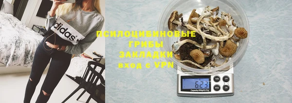 твердый Армянск